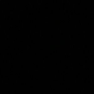 Meet your Posher, Izzy